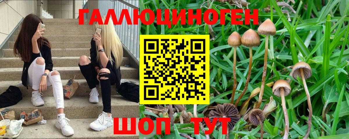 Псилоцибиновые грибы мухоморы  Галлюциногенные грибы Cubensis  Вход с VPN  Назрань 